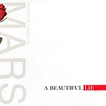 A Beautiful Lie